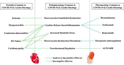 Pandemic Perspective: Commonalities Between COVID-19 and Cardio-Oncology